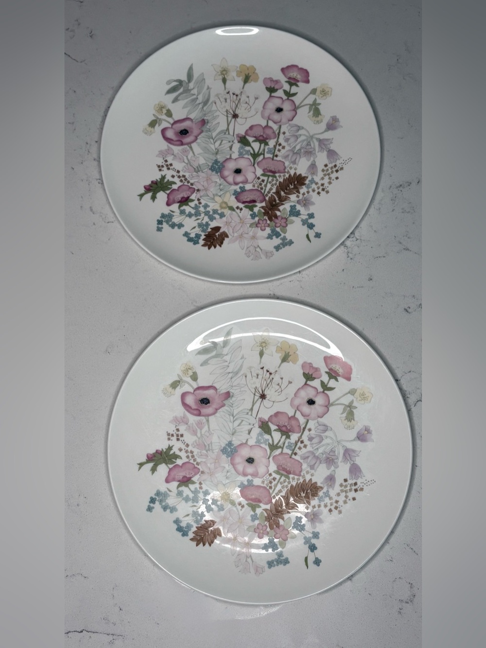 Wedgwood White and Black Meadow Sweet Bone China Backstamp